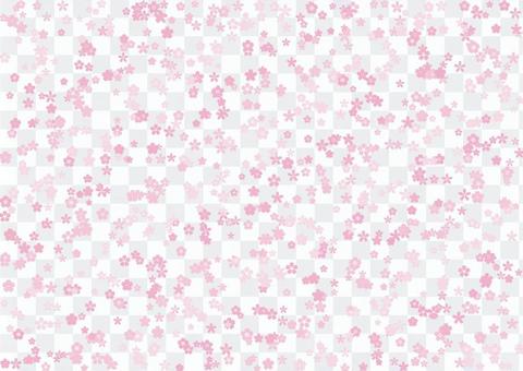 Cherry Blossoms 6a Cherry Blossoms 6a