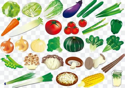 Vegetable illustration material collection Vegetable illustration material collection