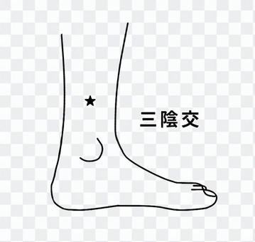 足のつぼ-三陰交_白黒 足のつぼ-三陰交_白黒