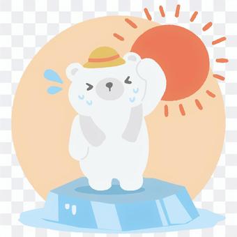 Heat stroke polar bear Heat stroke polar bear