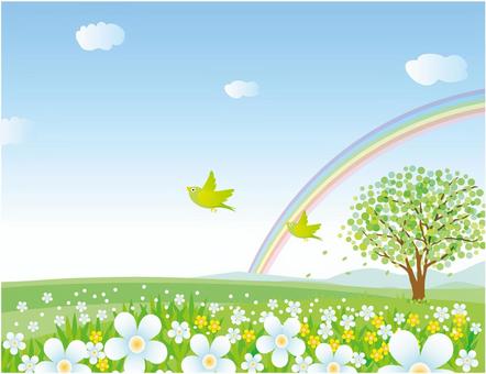 Landscape with birds, rainbow and flower blooming hills Landscape with birds, rainbow and flower blooming hills