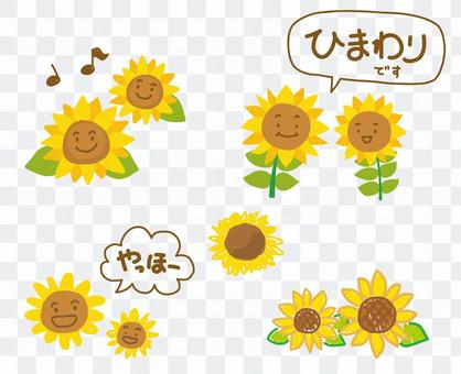 Sunflower set Sunflower set