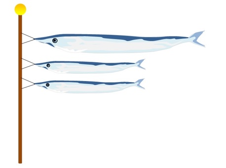 Pacific saury Pacific saury