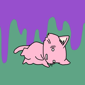 Unwell cat Unwell cat