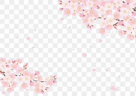 Cherry blossom background 3 Cherry blossom background 3