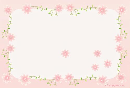 Cosmos pink frame Cosmos pink frame