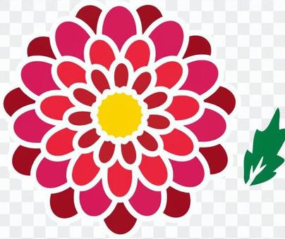 Peony _ red Peony _ red