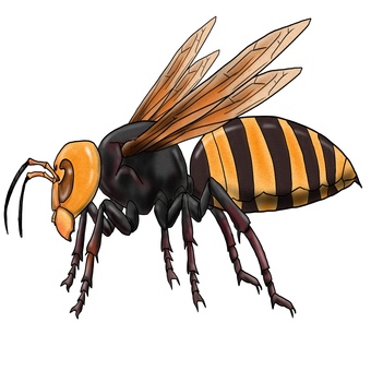 Next to the giant hornet or giant bee monster Next to the giant hornet or giant bee monster