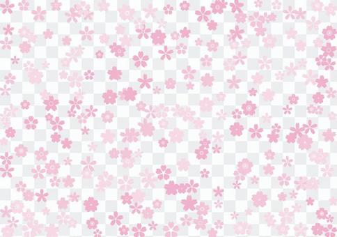 Cherry blossoms 6b Cherry blossoms 6b