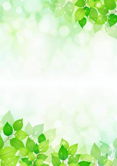 Fresh green 273 Fresh green 273