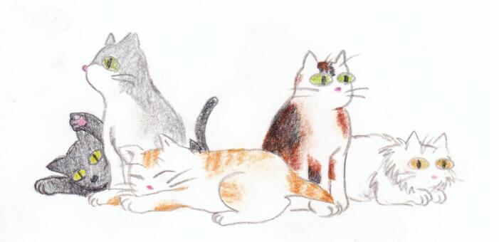 The cat gathers. The cat gathers.