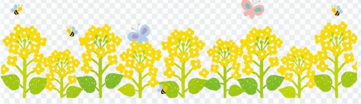 Rape flower frame 2 Rape flower frame 2