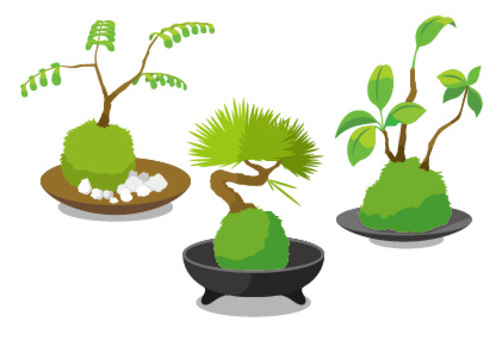 Moss ball set Moss ball set