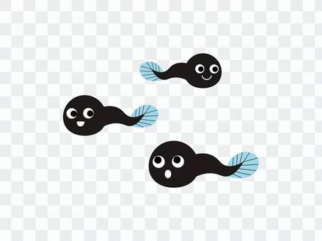 Illustration material of tadpole Illustration material of tadpole