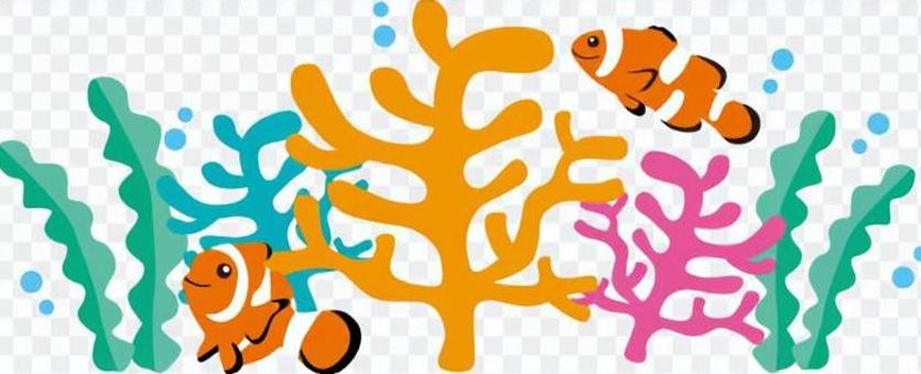 Clown ferns & amp; Coral Clown ferns & amp; Coral