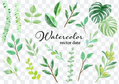 Watercolor material 060 Leaf icon Watercolor material 060 Leaf icon