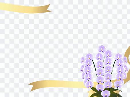 Moth orchid frame Moth orchid frame