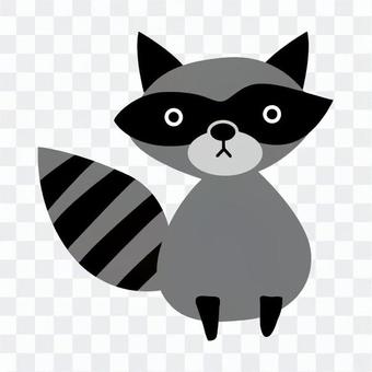 Gray's Raccoon Gray's Raccoon