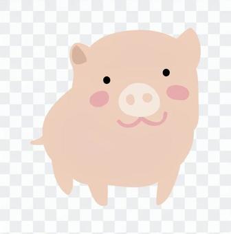 Miniature swine Miniature swine