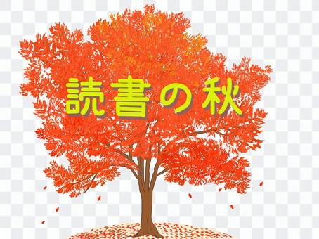 読書の秋(街路樹) 読書の秋(街路樹)