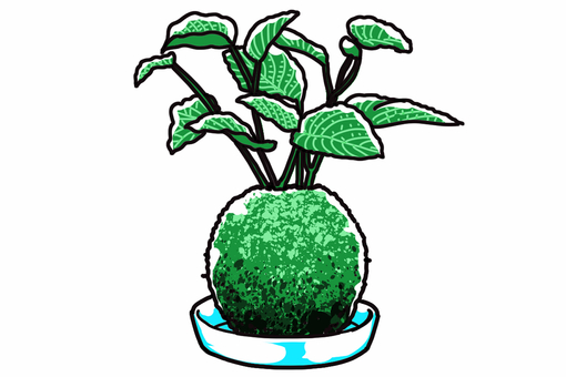Moss jade Moss jade