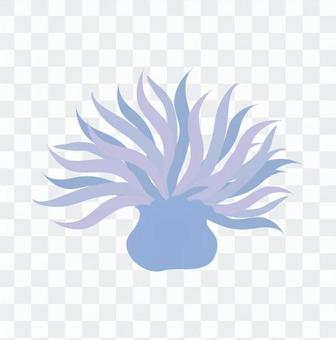 Sea anemones (purple) Sea anemones (purple)