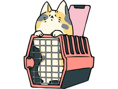 Loose calico carry case Loose calico carry case