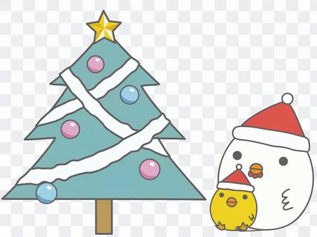 Chicken parent and child watching Christmas tree Chicken parent and child watching Christmas tree