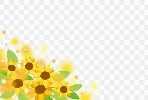 Sunflower frame Sunflower frame