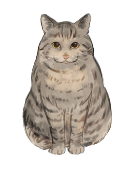 Cat_Sabatra Cat_Sabatra
