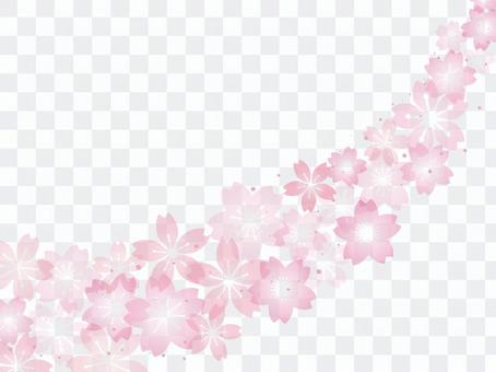 Cherry blossom image 015 Cherry blossom image 015