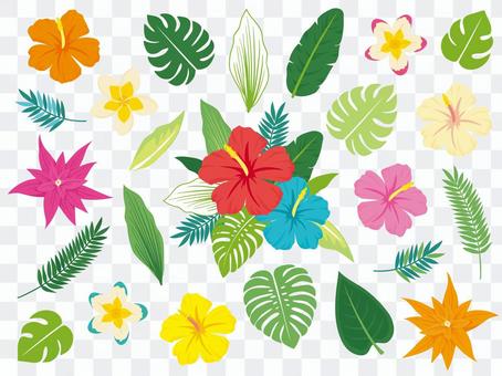 Tropical plant decoration set Tropical plant decoration set