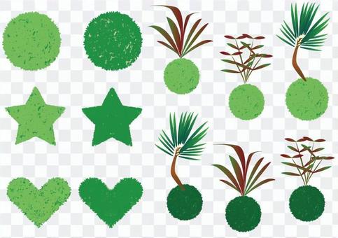 Moss ball set Moss ball set