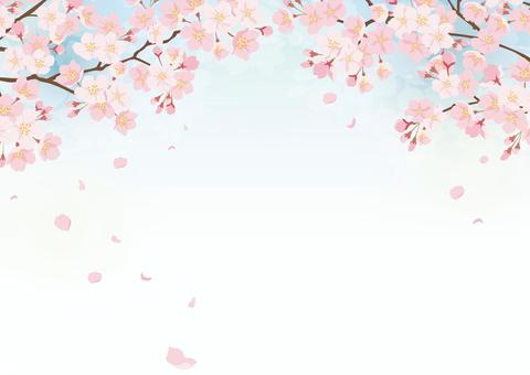 Sakura background 2 Sakura background 2