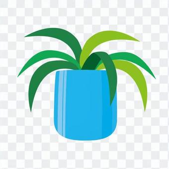 Foliage plant Foliage plant