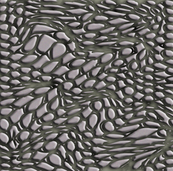 Stone wall cobblestone stone wall ground image Stone wall cobblestone stone wall ground image