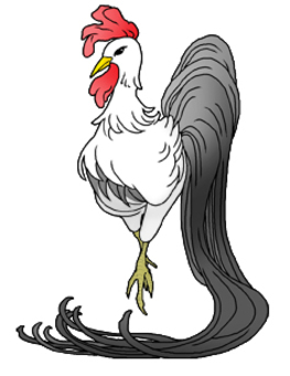 New Year long bird New Year long bird