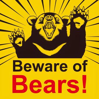 Bear Attention 7 Bear Attention 7