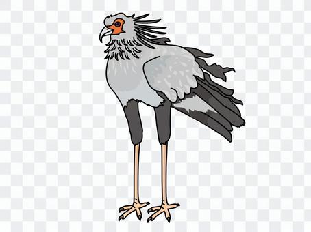 Secretarybird Secretarybird
