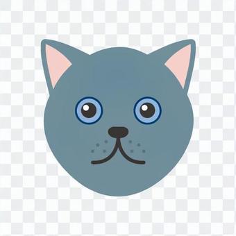 Cat's face Cat's face