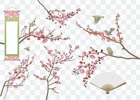 Ume and gourd Ume and gourd