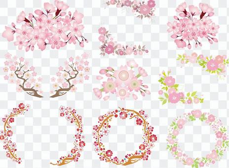 Spring flower cherry blossoms Sakura bouquet frame Flower bouquet background Spring flower cherry blossoms Sakura bouquet frame Flower bouquet background