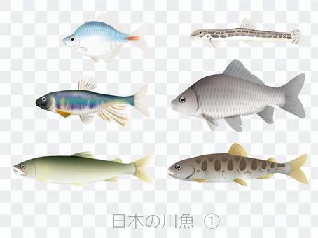 Japanese river fish 1 Japanese river fish 1