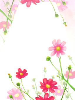 Flower frame card-autumn cosmos vertical Flower frame card-autumn cosmos vertical