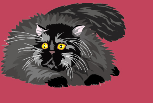 Black Persian cat's cat Black Persian cat's cat