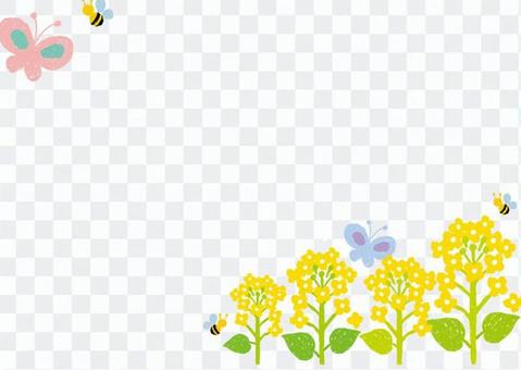 Rape blossom frame Rape blossom frame