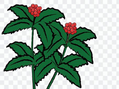Thousand Sri Lankan Thousand Sri Lankan