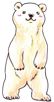 Polar bear standing up Polar bear standing up