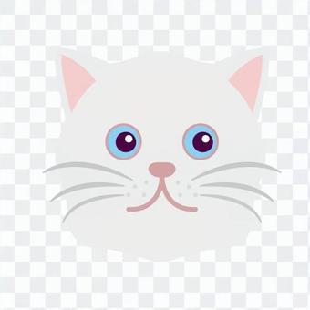 Cat's face Cat's face