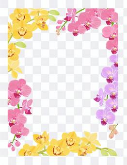 Orchid flower frame Orchid flower frame